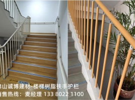 樓梯通道樹(shù)脂護(hù)欄扶手